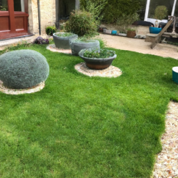 Techniques de taille pour maintenir un jardin esthétique et en bonne santé Soissons